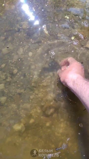 Увидел лежащую на дне находку смотреть онлайн