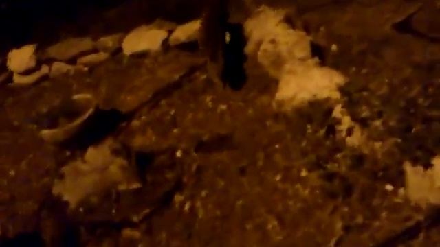 צפע смотреть онлайн