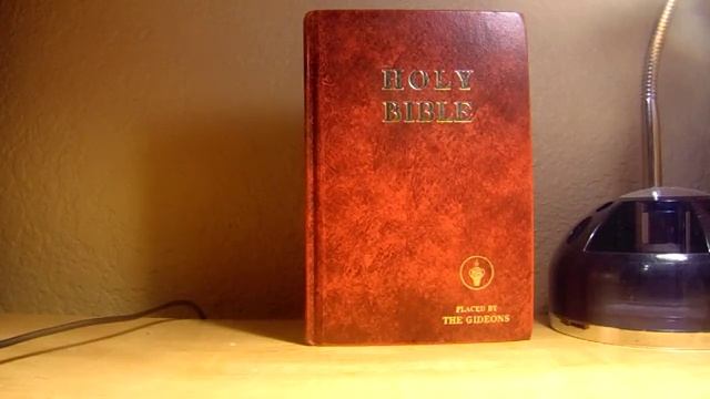 Май 2015 Ответы на Вопросы с переводом на мировой язык смотреть онлайн