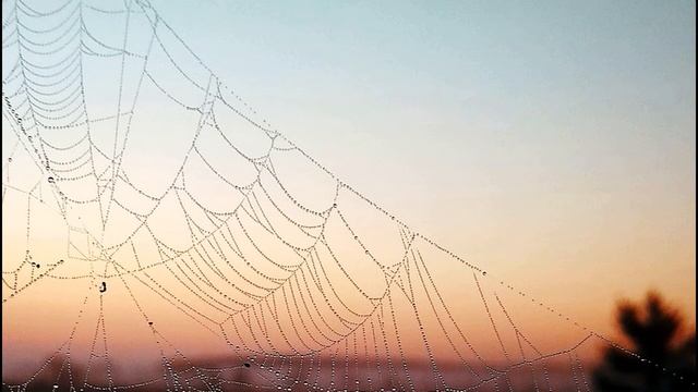 К Бальмонт  Паутинки #стихиосчастье #поэтысеребряноговека