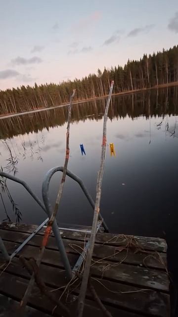 Рыбалка
Видео для тех, кто жалуется на свои снасти😅