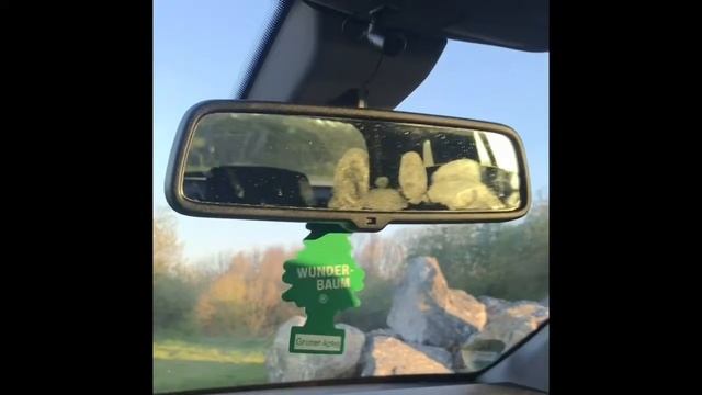 Hifonics zx-12 Dual on limit 1200w RMS смотреть онлайн