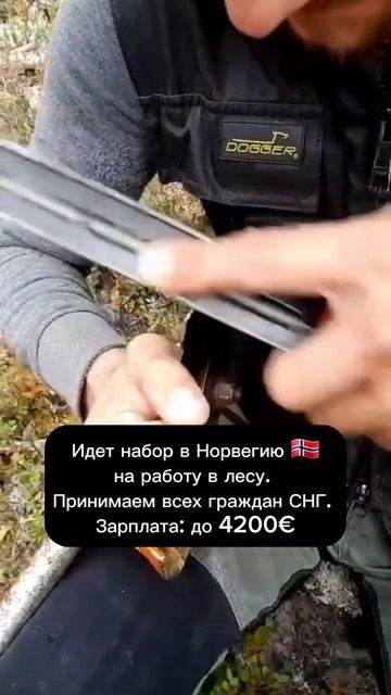 #нидерланды #норвегия #europe2023 #jobsineurope смотреть онлайн