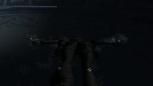 I wish to have a pool from Tomb Raider Legend video game in real life