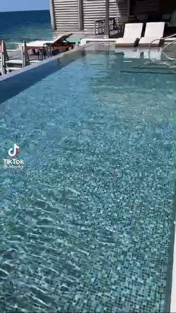 А4 в бассейне тик ток
