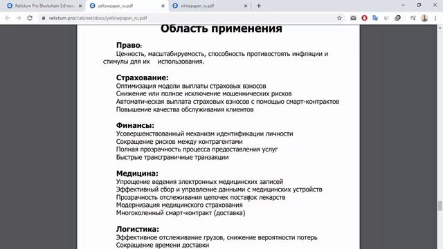 ICO Relictum Pro детальный разбор