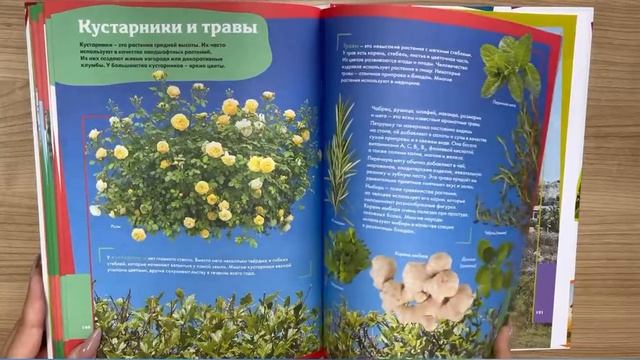 Лучшая энциклопедия для маленьких любознашек смотреть онлайн