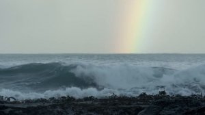 Тихий океан жизнь в глубинах океана