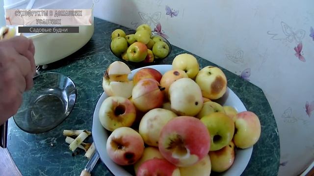 Сухофрукты в домашних условиях смотреть онлайн
