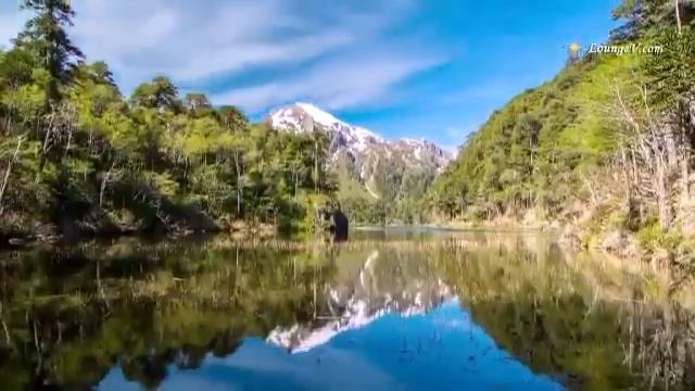 САМАЯ КРАСИВАЯ НАШИД смотреть онлайн