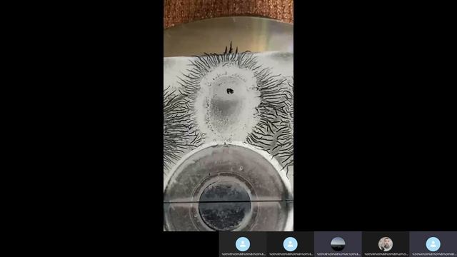 Диагностика Ауроскопом — Конференция №2. Примеры работ.