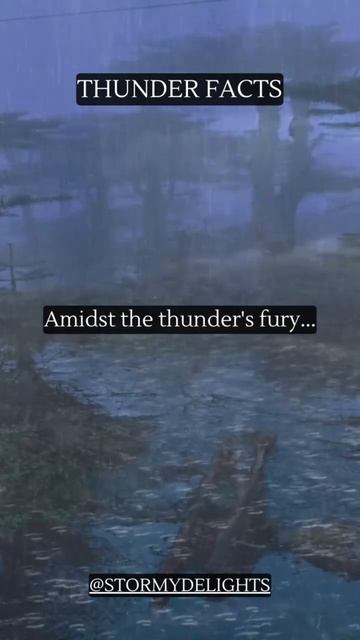 Amidst The Thunder’s Fury | Thunder Quote #rainsounds #quotes #thunder смотреть онлайн