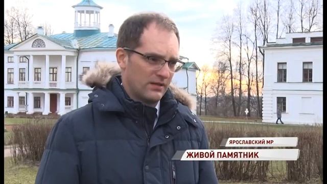 Двухвековой липе из Карабихи присвоен статус памятника живой природы смотреть онлайн
