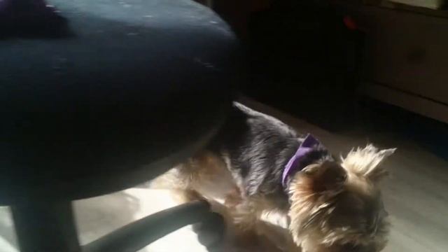 15 октября 2018 г. смотреть онлайн