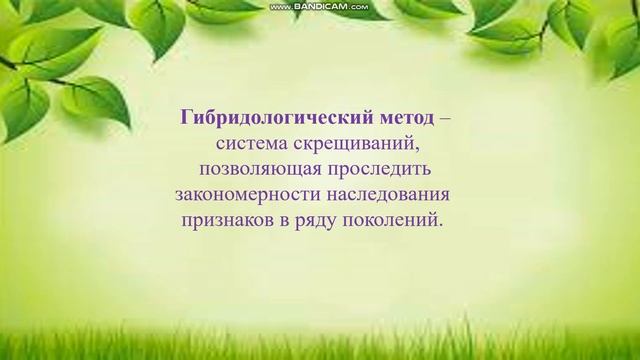 Генетика. Опыты Менделя. смотреть онлайн