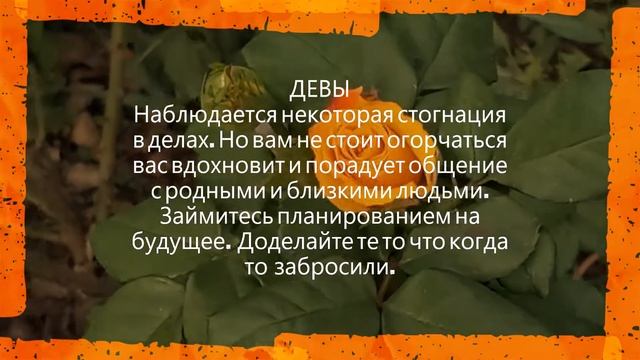 Гороскоп на неделю с 20 по 26 сентября 2021 г смотреть онлайн
