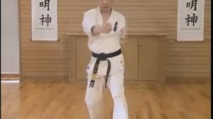 Тайкёку соно ичи