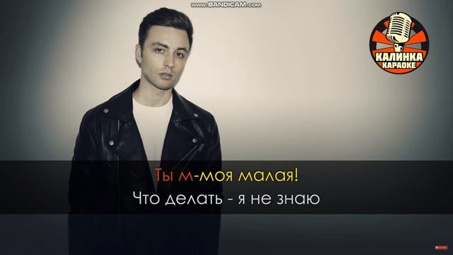 КАРАОКЕ ШКОЛЬНИКА БИСЬКИНА смотреть онлайн