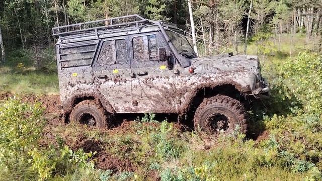 В поисках бобра смотреть онлайн