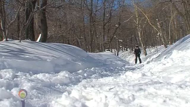 16 ЗОЖ Зимние виды спорта xvid смотреть онлайн