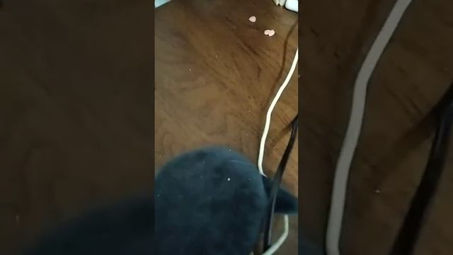 уборка стола чееее еееееееееееееееееееееееееееееееееееееееееееееееееееееееее ееееееееееекс смотреть онлайн