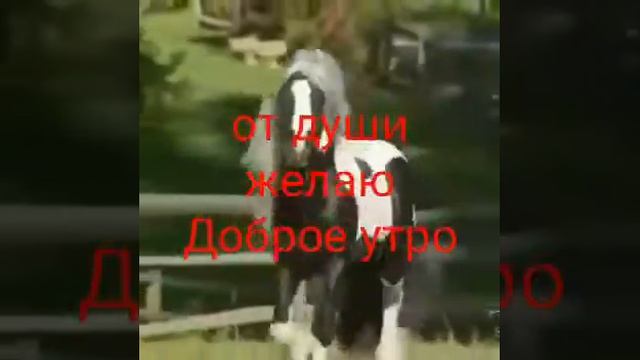 Доброе утро!!! смотреть онлайн