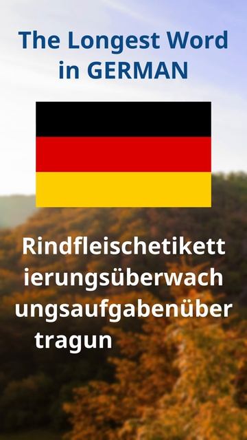 The Longest Word in German (63 letters) смотреть онлайн