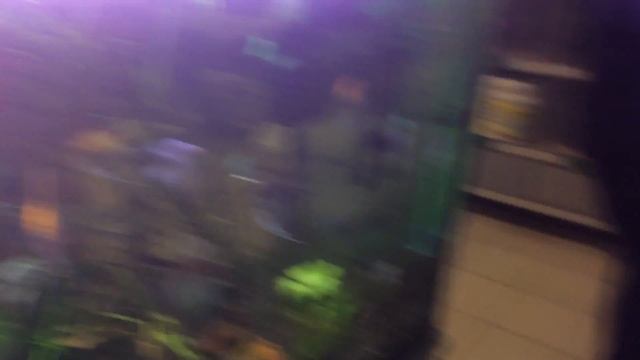 Местный магазин аквариумистики. г. Новая Каховка. смотреть онлайн