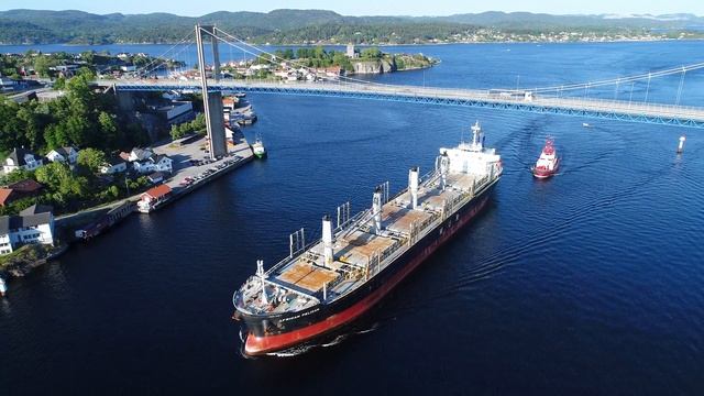 African Pelican смотреть онлайн