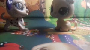 Токийский гуль 1 серия