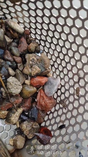 Первые находки с Minelab Manticore со дна! смотреть онлайн