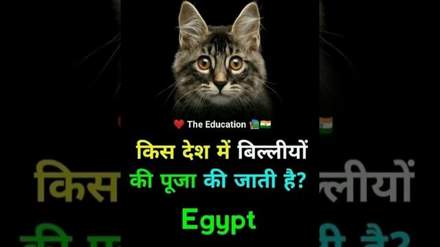 The education photo gallery смотреть онлайн