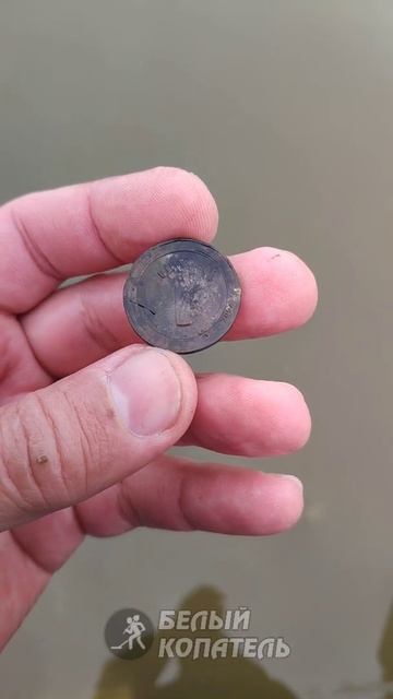 Золото и другие находки с Nokta Legend, удачный выход✌ смотреть онлайн