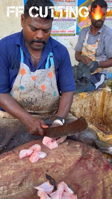 KASIMEDU🔥SPEED SELVAM BIG BARRACUDA FISH CUTTING VIDEO #kasimeduselvam #fishcutting #youtubeshorts смотреть онлайн