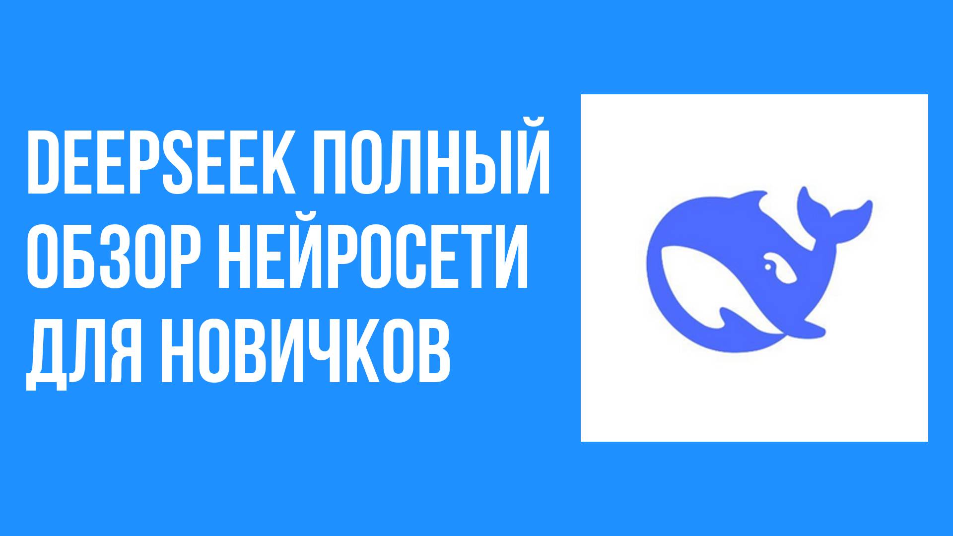 DeepSeek полный обзор нейросети для новичков смотреть онлайн