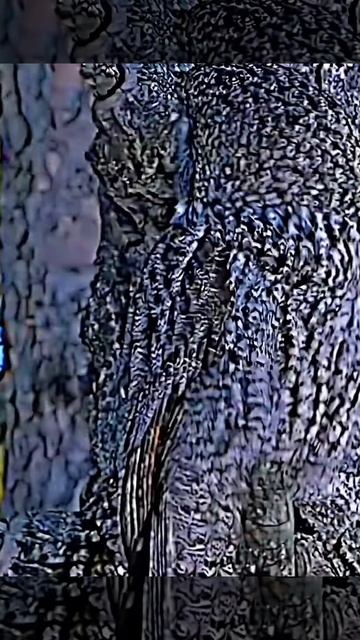 Мастера маскировки смотреть онлайн