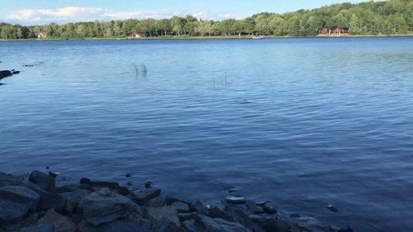 ZULMAT MALIKASI 1 QISM