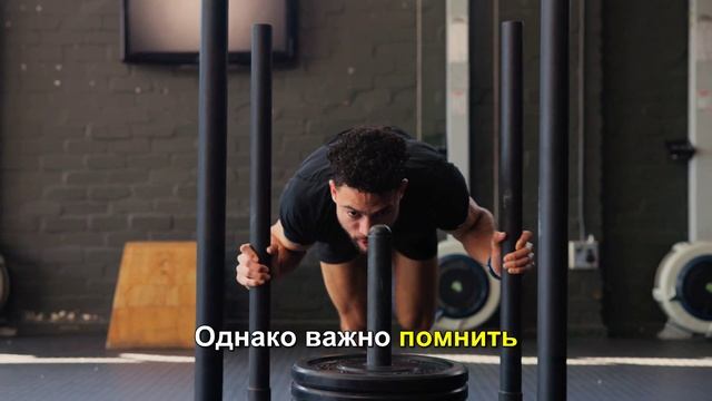 Спортивное питание: основной элемент успешных тренировок