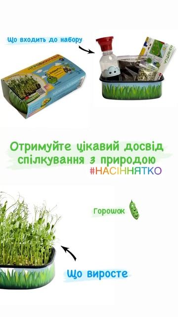 Научный Эко набор для выращивания микрогрин подарок для детей и взрослых смотреть онлайн
