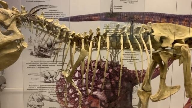 Динозавры и другие вымершие монстры. Дарвиновский музей смотреть онлайн