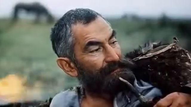 Самая мудрая мудрость смотреть онлайн
