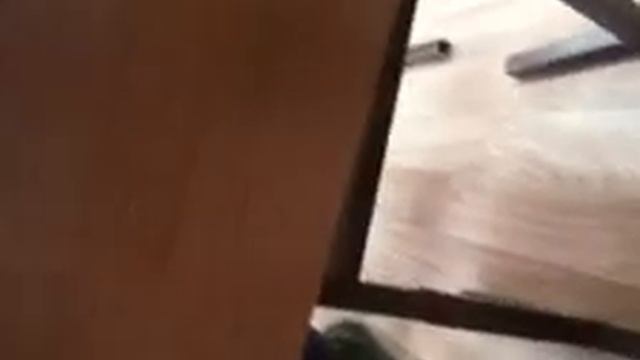 школа 96. преподаватель Кугаппи Любовь Понтелеевна общается с учениками смотреть онлайн