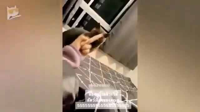 "Честь" сериал (95 серия) русская озвучка смотреть онлайн