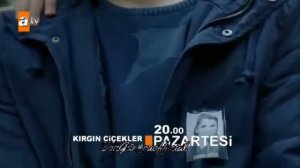 обиженные цветы 113