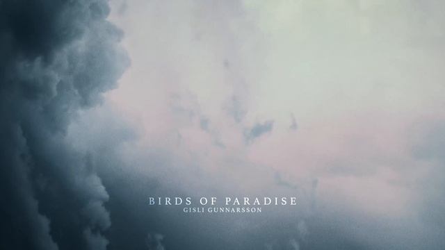 Gísli Gunnarsson - Birds of Paradise смотреть онлайн