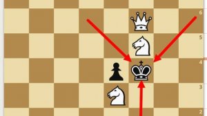 Лучшая шахматная задача мат в 2 хода