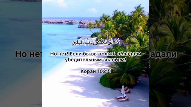 Сура 102.Ат-Такасур(Охота к Умножению) смотреть онлайн