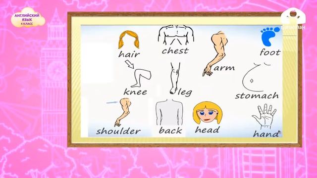 4-класс | Английский язык | Parts of the body смотреть онлайн