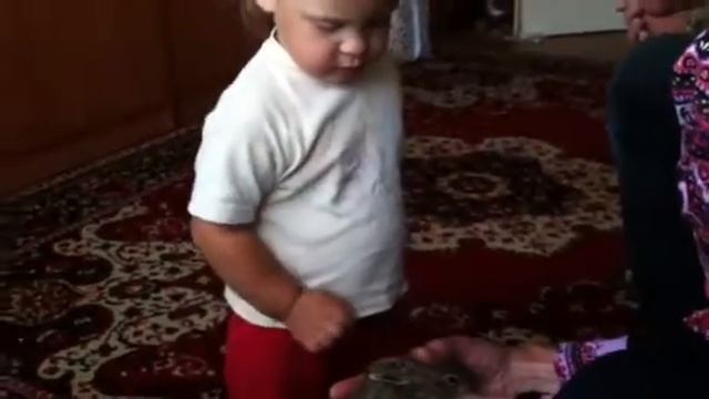 Алиса и зайцы смотреть онлайн