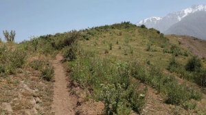 Куххои Точикобод   Ширинчашма   10.08.2019 Чудесная природа